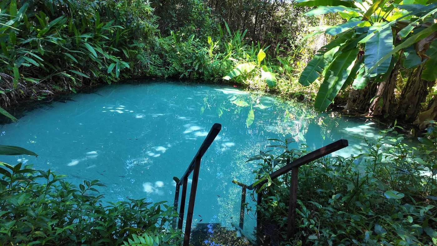Fervedouro de água azul-clara cercado de vegetação